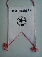 /album/brezova-pod-bradlom/brezova-pod-bradlom-msk-bradlan-18-jpg/